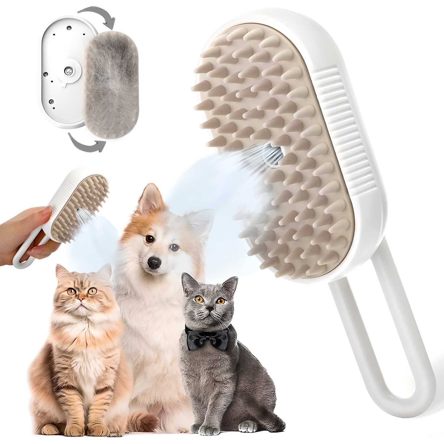 Pet Accessories